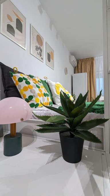Apartament Blissful Ghencea 1110 *